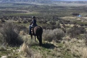 Twisted Pine Training, LLC