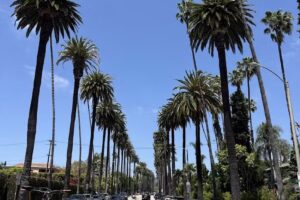 Ultimate Hollywood Tours