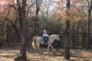 Unbridled Horse Therapy