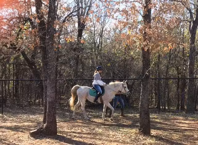 Unbridled Horse Therapy