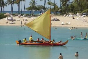 Unique Weddings and Tours