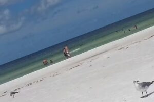 Unlimited World Travel