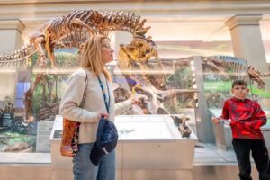 Unscripted by Guided Tours DC