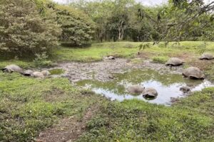 Untamed Path Adventures