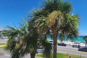 Upper Deck Travel, LLC.