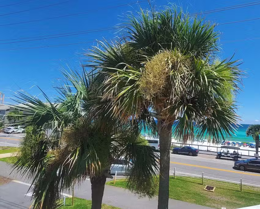 Upper Deck Travel, LLC.