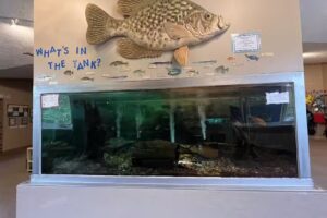 USACE Green River Lake Visitor Center