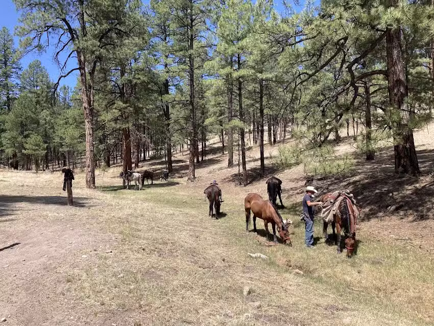 UTrail Horseback Adventures