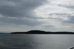 Vacation Friday Harbor