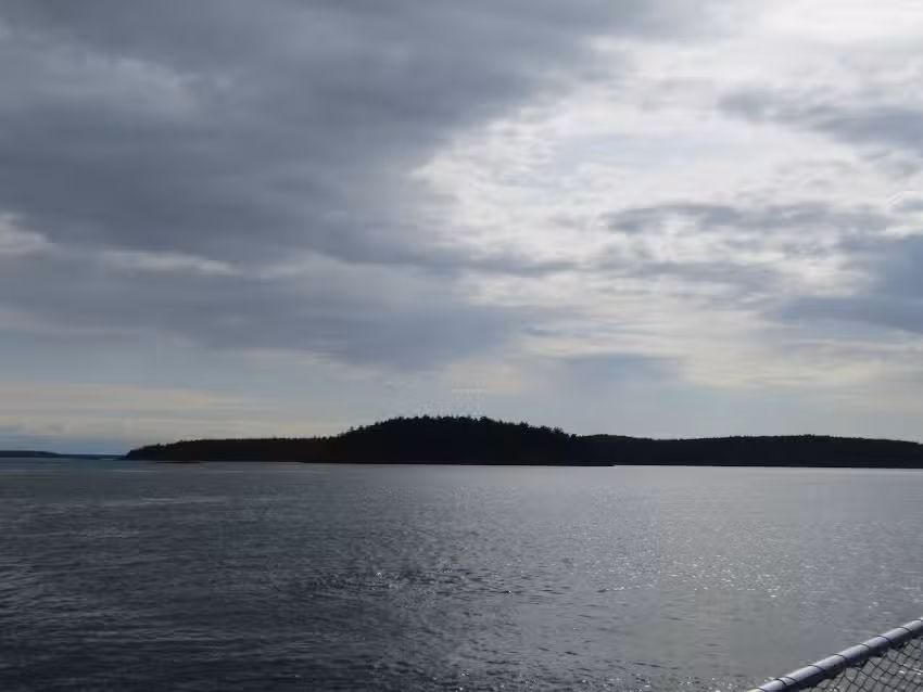 Vacation Friday Harbor