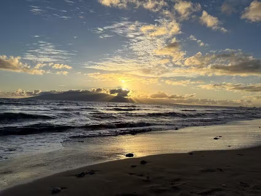 Vacation Maui Rentals