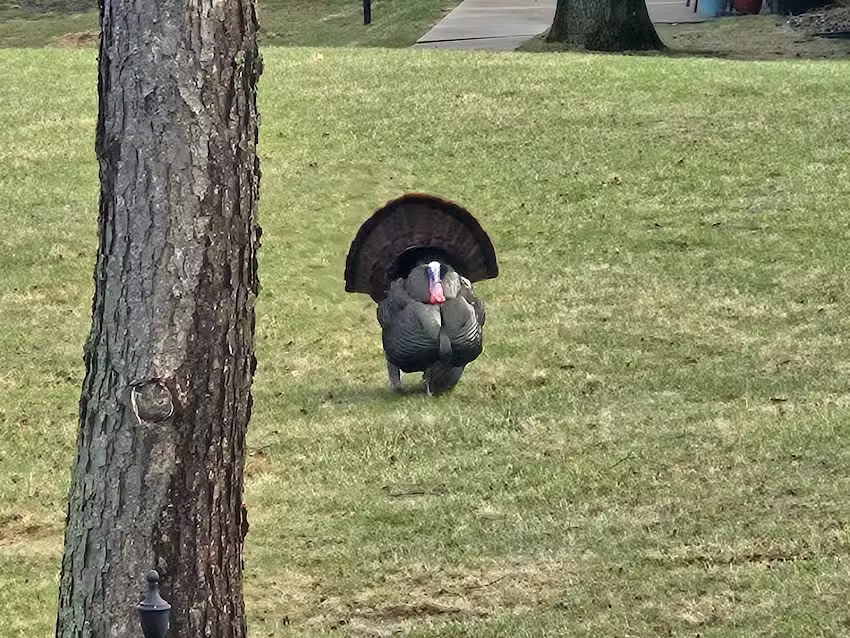 Vacation Rental Property Partners-Lake Geneva Vacation Management