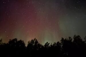 Valhalla View Cabins