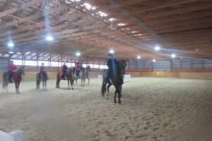 Vantage Point Stables