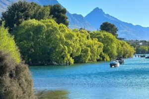 Vantage Travel International