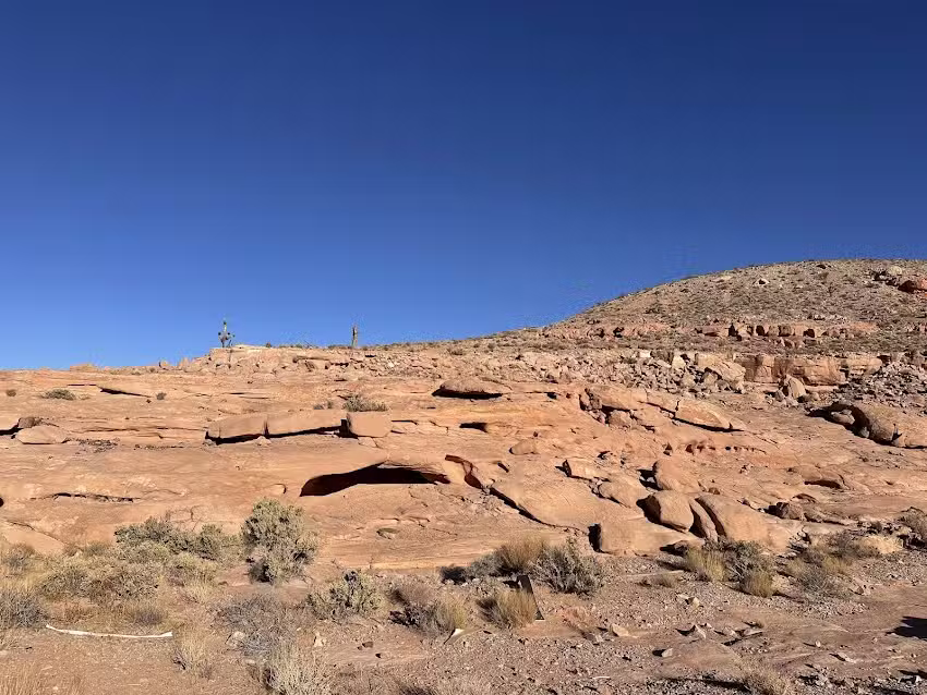 Vegas Off Road Tours