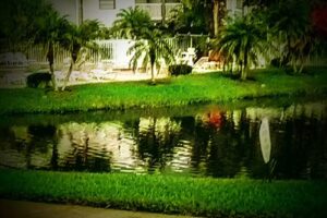 Ventura Resorts & Properties