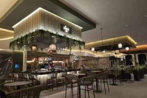 Venus Travel and Tours