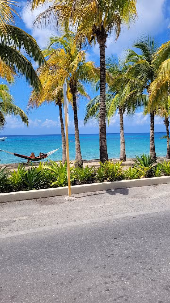 Views Of Paradise Travel Agency