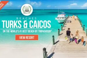 Vincent Vacations-Travel Agency CT