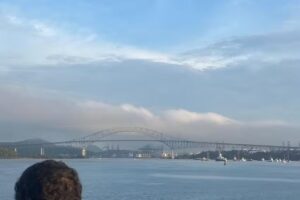 VIP Tours by Luis Vaz