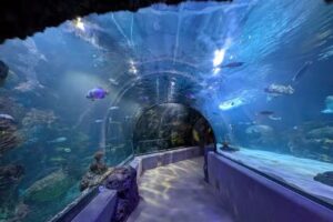 Virginia Aquarium & Marine Science Center