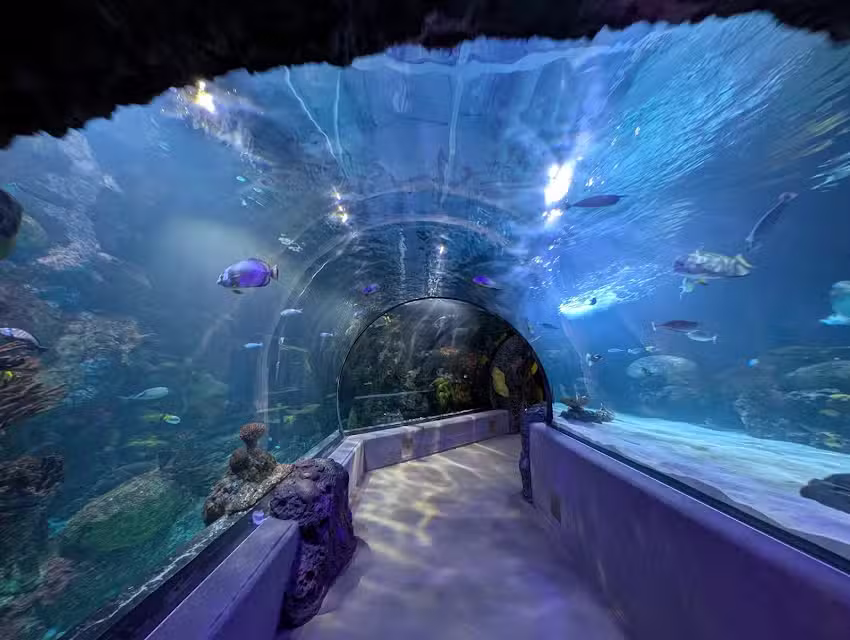 Virginia Aquarium & Marine Science Center