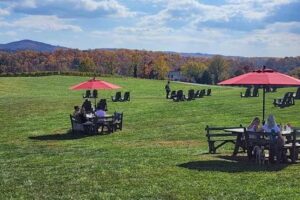 Virginia & Washington DC Winery Tours