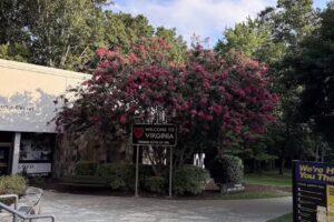 Virginia Welcome Center