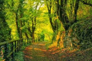 Visit Carroll County Illinois