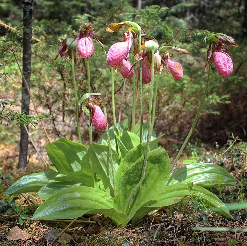 Visit Cook County – Visitor Information Center