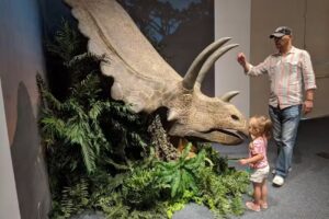 Visit Farmington / Farmington Convention & Visitor’s Bureau