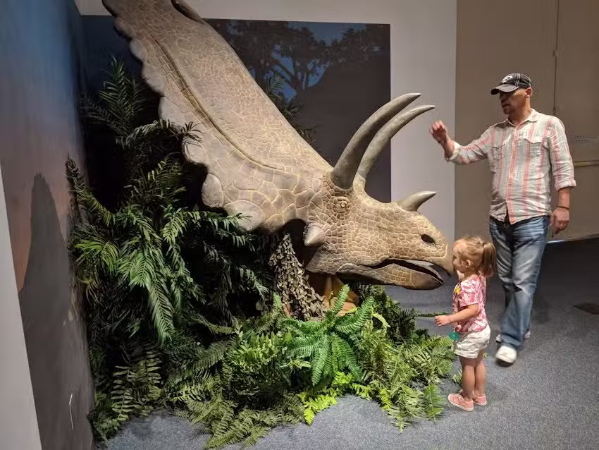 Visit Farmington / Farmington Convention & Visitor’s Bureau