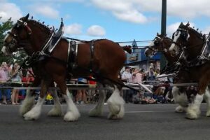 Visit Grants Pass Downtown Welcome Center