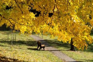 Visit Lebanon Kentucky