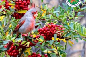 Visit Nogales-Santa Cruz County