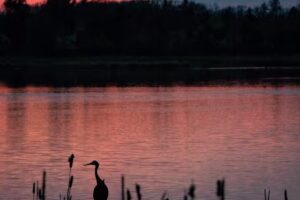 Visit Rome Wisconsin