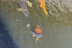 Visit South Walton &ndash; Visitor Information Center