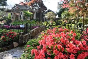 Visit Tyler/SPORTyler