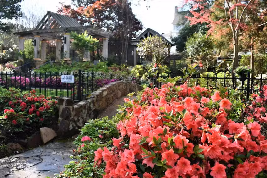 Visit Tyler/SPORTyler