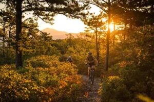 Visit Virginia’s Blue Ridge