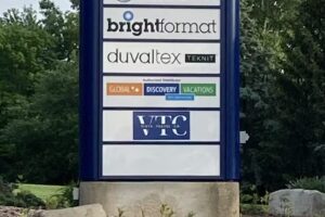 Vista Travel Company