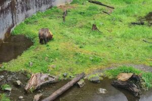 Vitas Travel Service