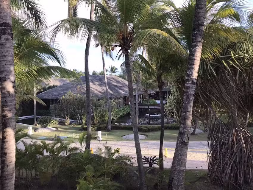 Vows in Paradise
