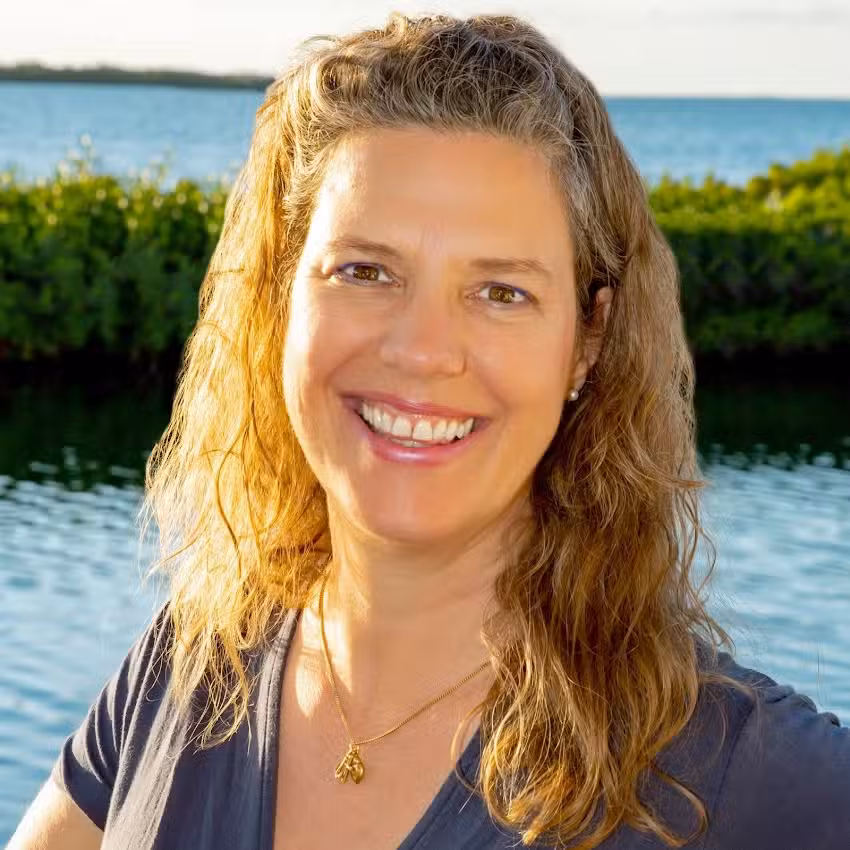 Voyage Blue Travel LLC