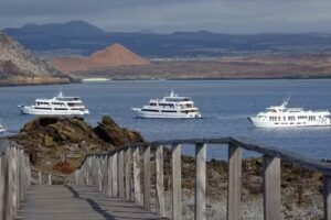 Voyagers Travel Company