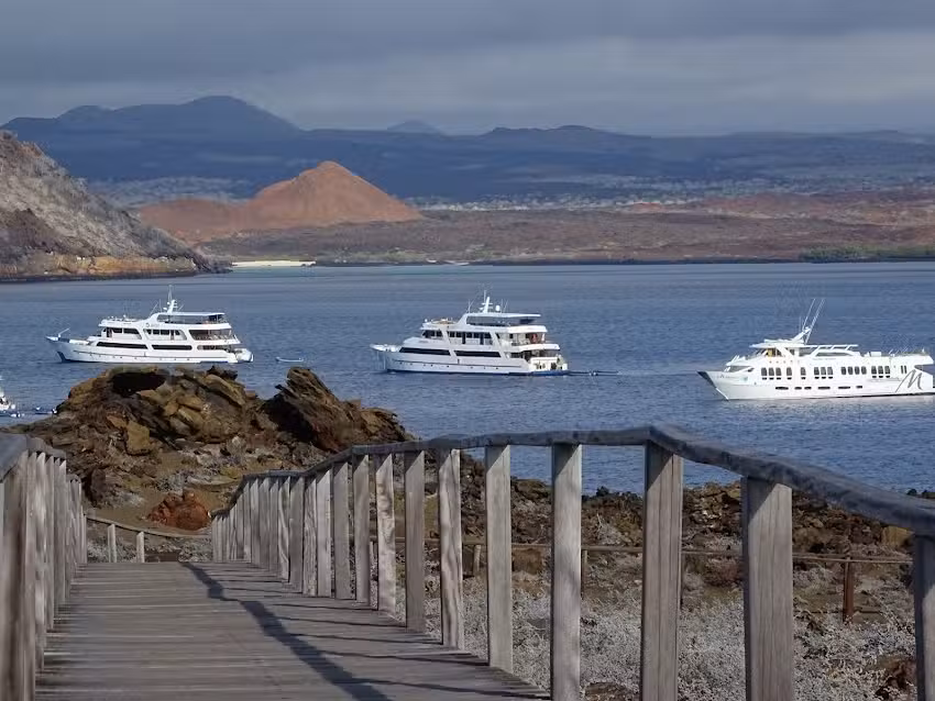 Voyagers Travel Company