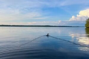 Voyageurs Outfitters