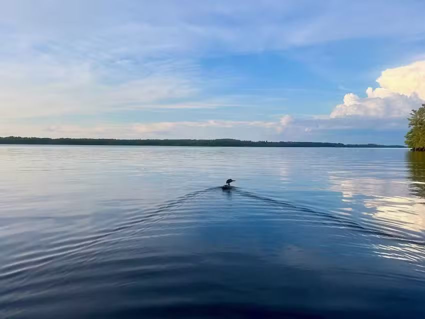 Voyageurs Outfitters