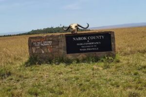 Wages Travel Enterprises